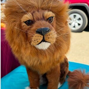 Handmade Lion Decoration